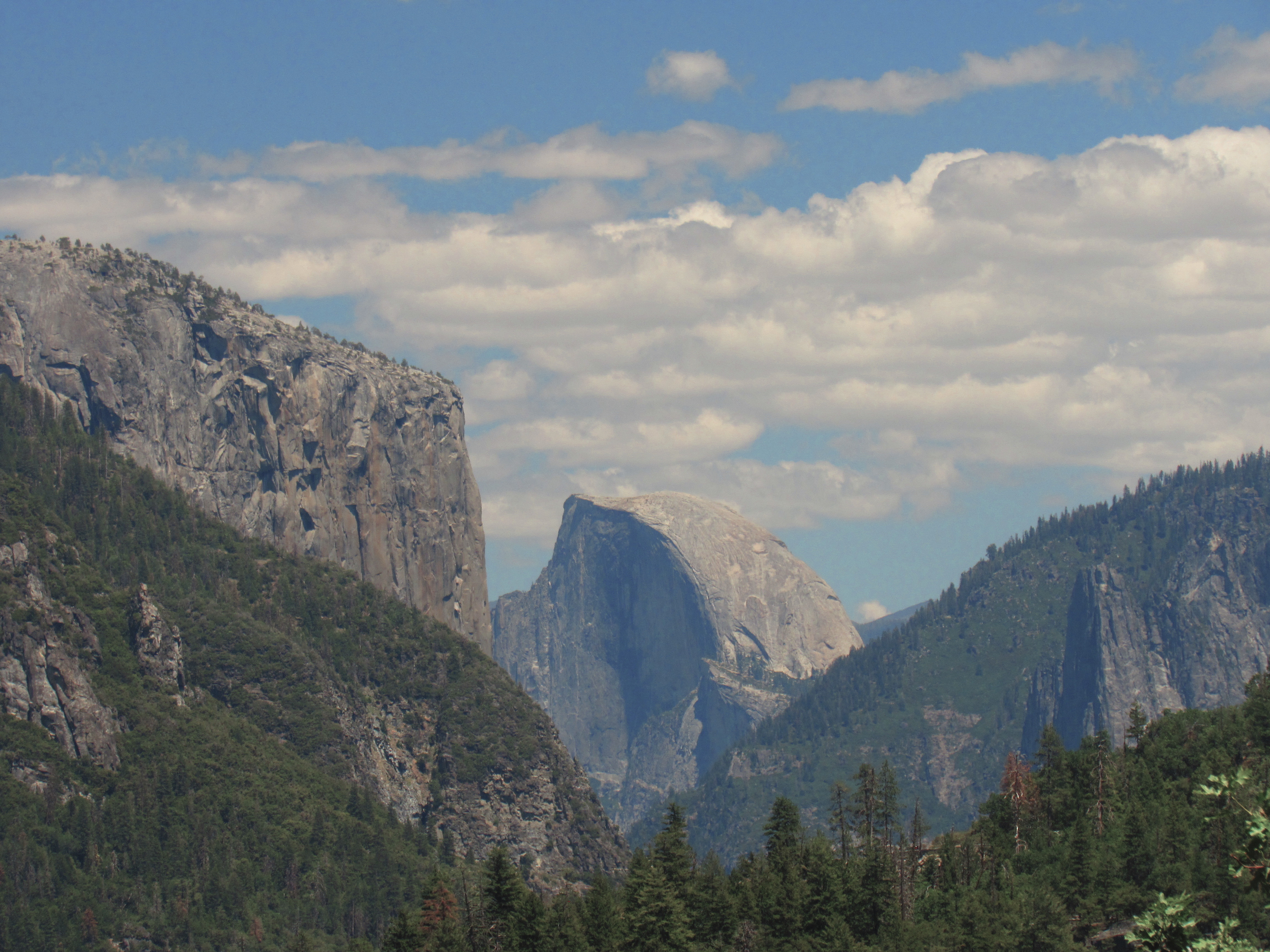 Half Dome and El Capitan, view from Big Oak Flat Rd. Turnout